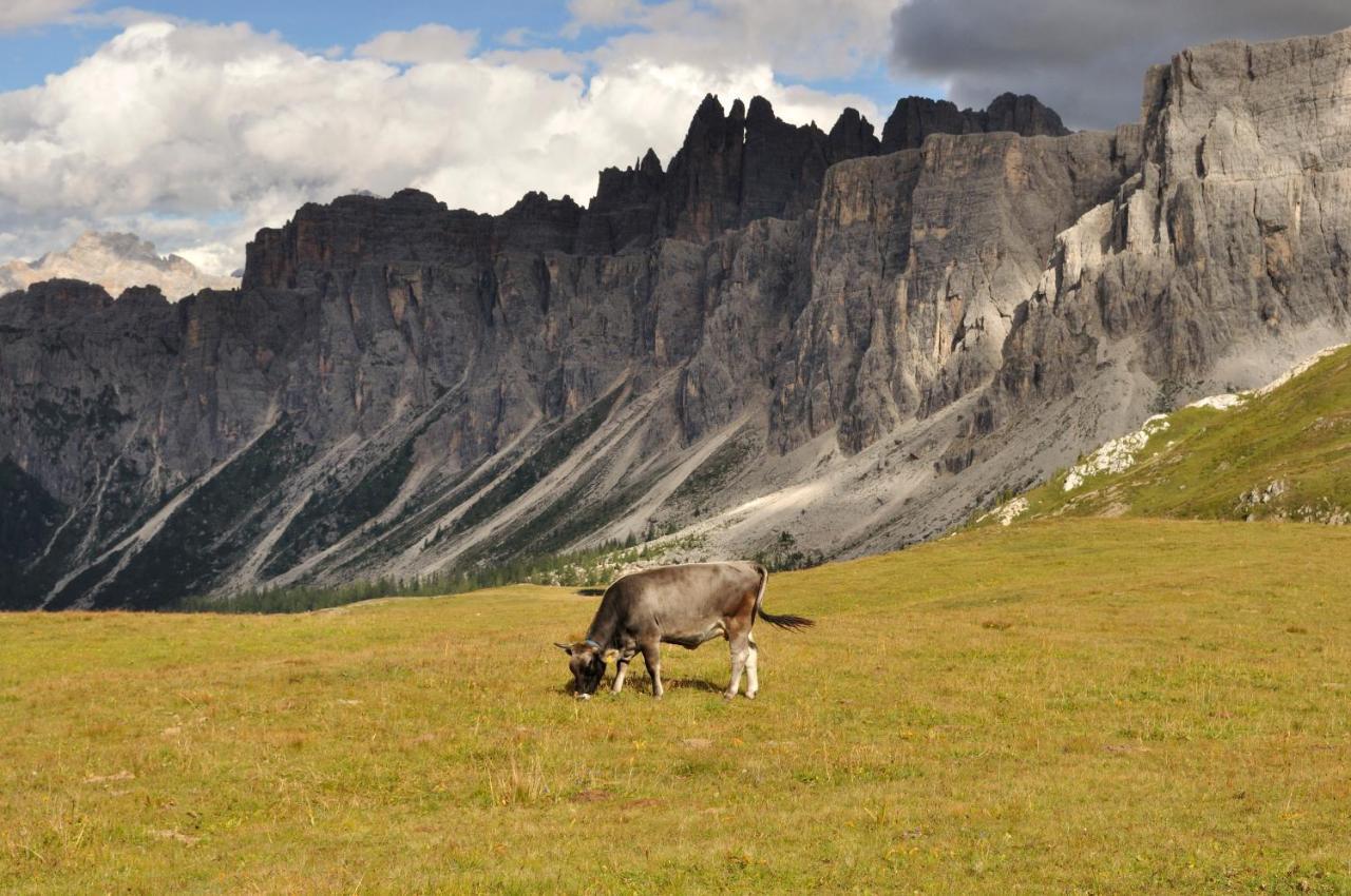 Appartamenti Codàn San Vito di Cadore Esterno foto