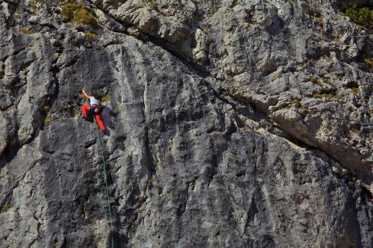 Appartamenti Codàn San Vito di Cadore Esterno foto